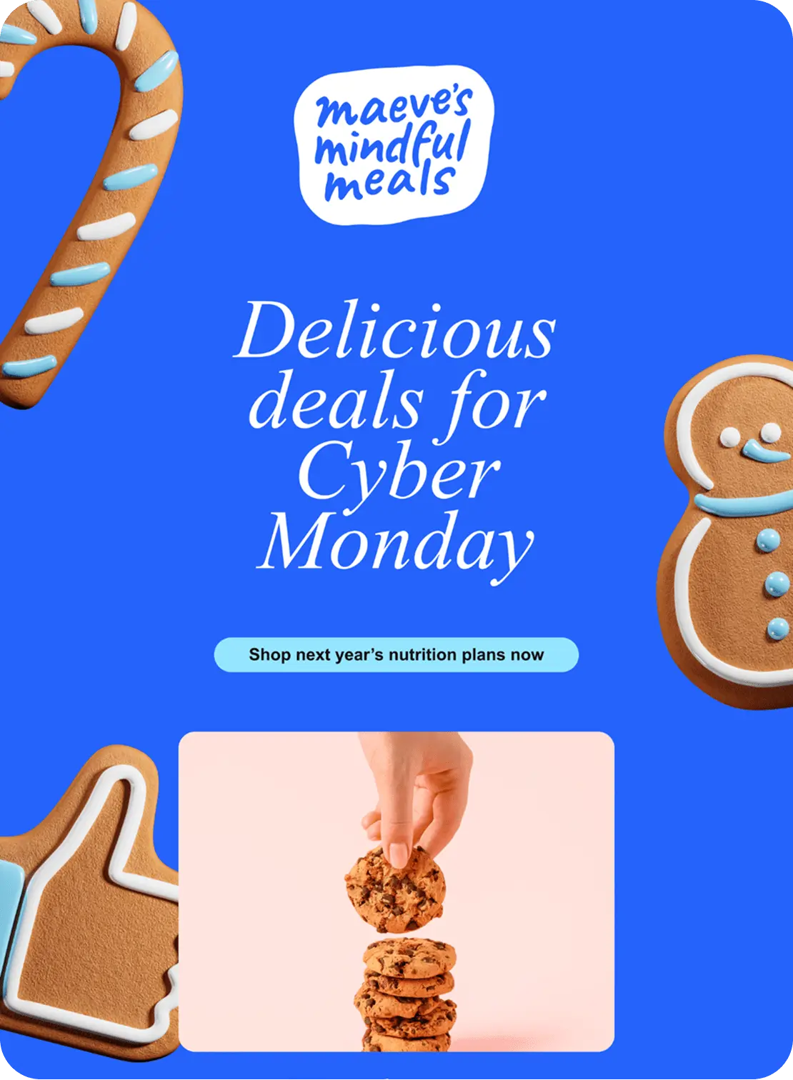 /ca/small-business-hub - Gallery Carousel Item - Holiday Email Template 10