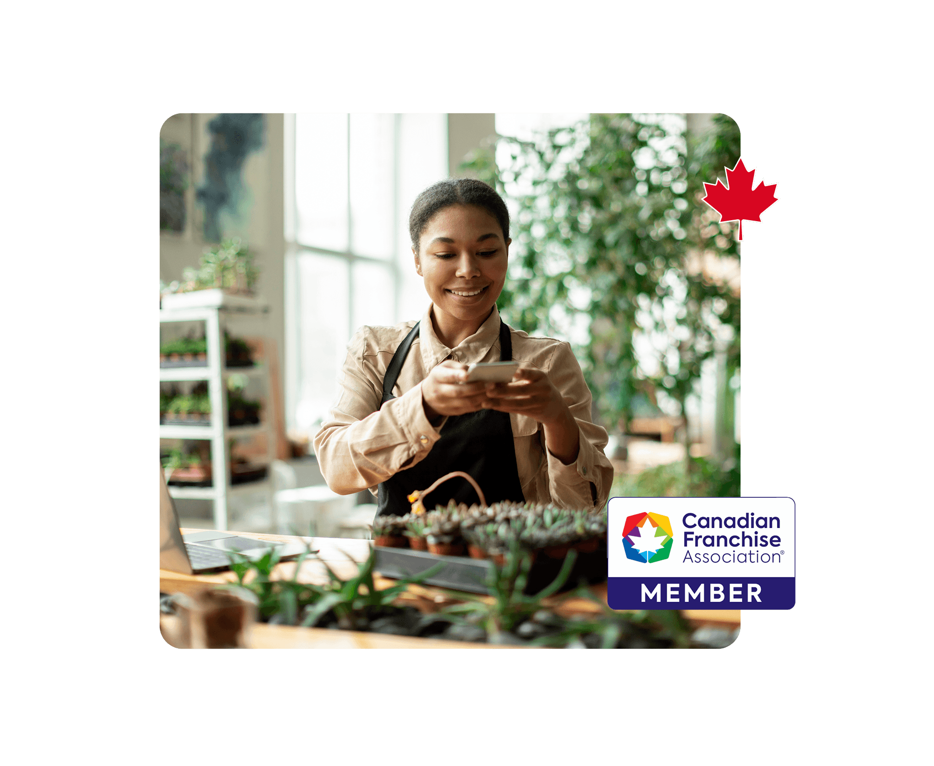 Franchise CFA Member