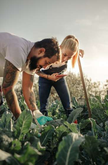 man and a woman tending to an outside garden