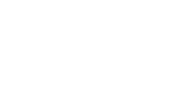Wordpress logo