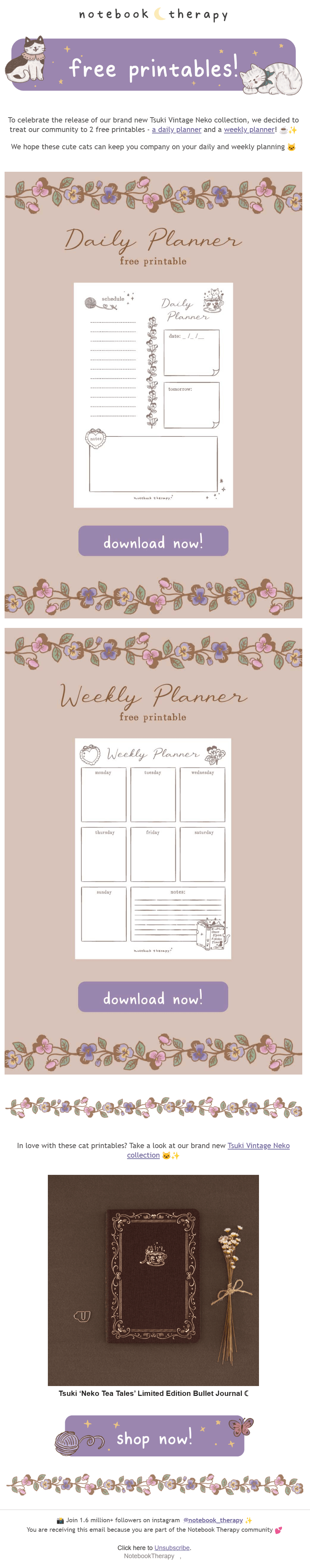 A screenshot of a promotional email by Notebook Therapy prompting subscribers to download free daily and weekly planner templates and purchase a limited-edition journal.