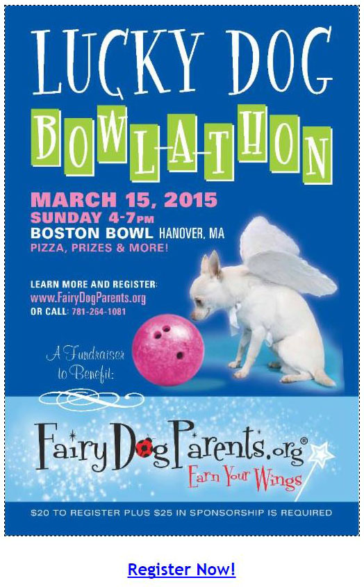 Event Invitation - Fairy DogParents