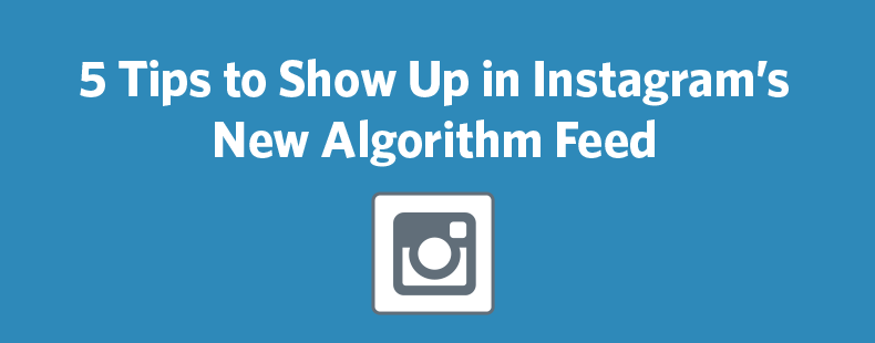 instagram algorithm ft image