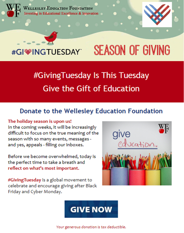 Giving Tuesday email example