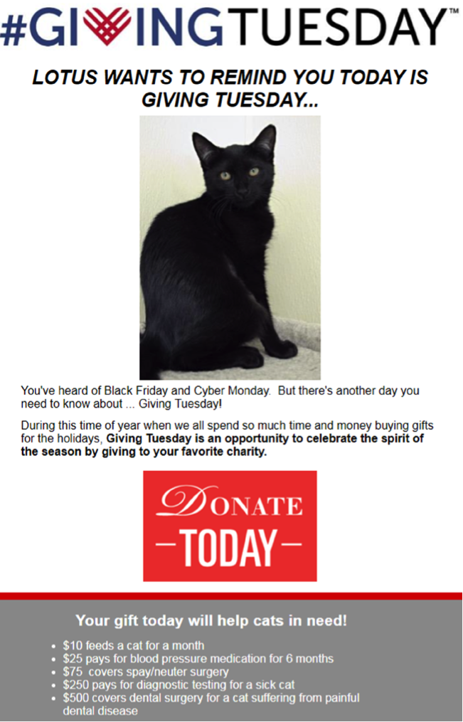 Giving Tuesday email donate button