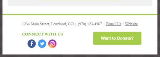 nonprofit email design footer example
