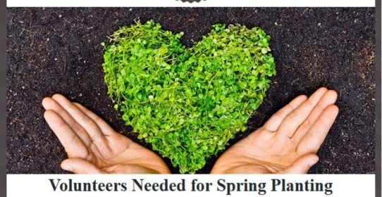 nonprofit email design image example