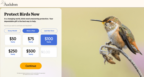 The National Audubon Society online donation page featuring monthly, annual, and one-time giving options.