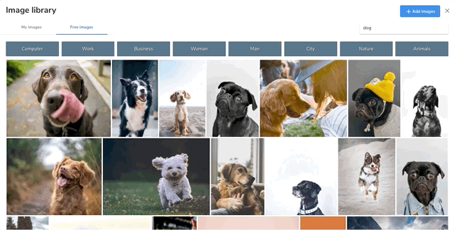 free image library with website photos of dogs