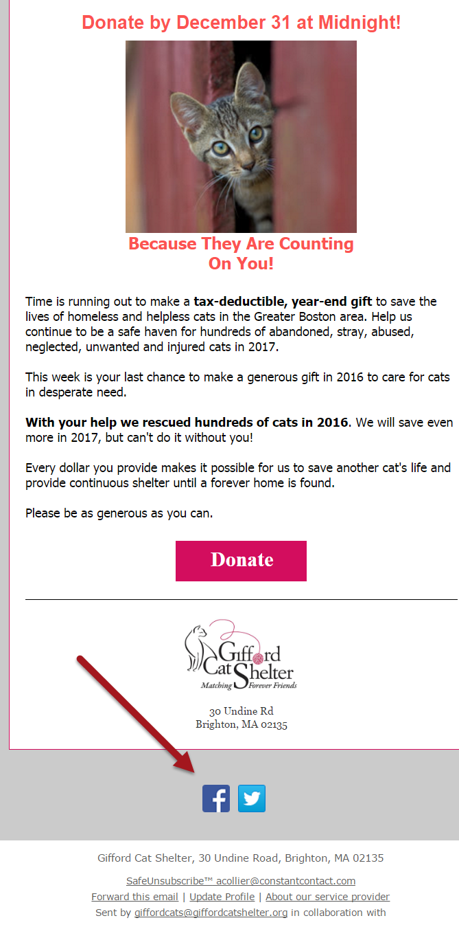 FBTP Gifford Cat Shelter email newsletter including social media icons links.