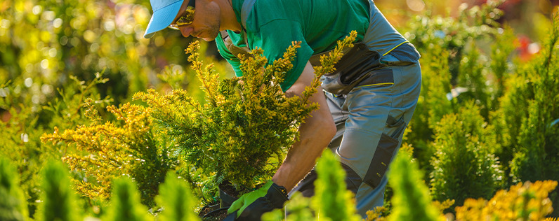Blog header landscaping business ideas