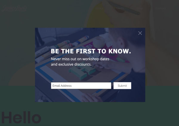 artist website example of using a pop-up email subscription form - Artist: James Lewis