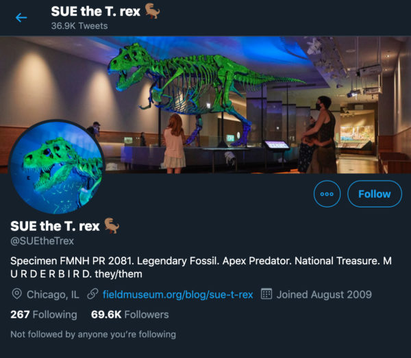 Museum marketing idea: use a piece of a permanent display on social media - SUE the T. rex