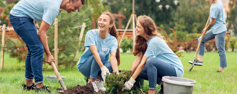 Volunteers planting a tree