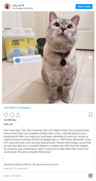 pet influencer, Nala cat, recommending TidyCat from Sam's Club
