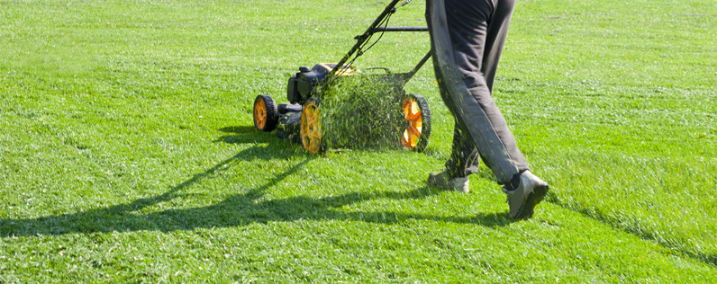 Artificial Grass Wellington