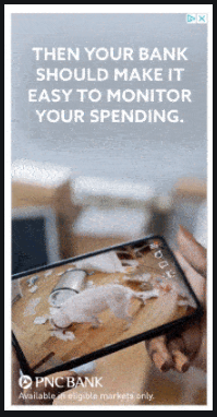 financial advisor ads - a carousel ad that shows images of a dog behaving badly 