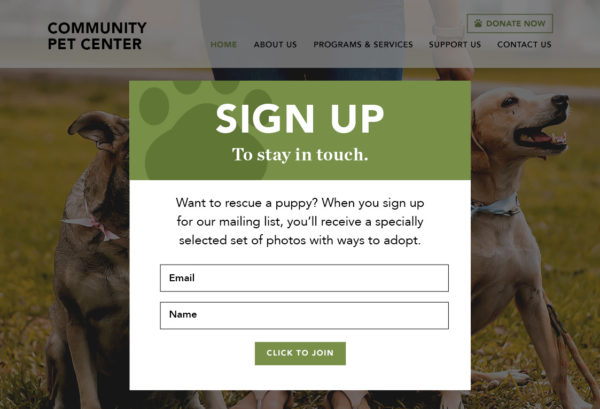 nonprofit email list pop-up sign-up form