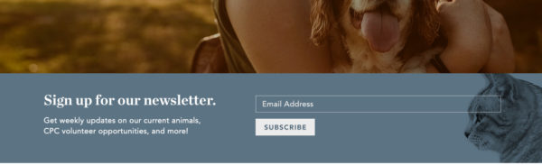 nonprofit newsletter sign-up form
