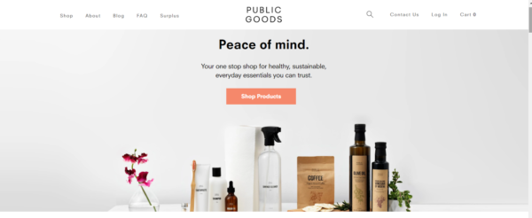 marketing in the beauty industry - Public Goods puts emphasis on its sustainable products