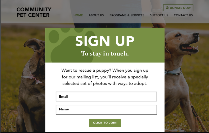 Nonprofit website newsletter signup form