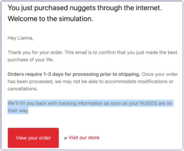 Nugg's order confirmation email. "... This email is to confirm that you just made the best purchase of your life... We'll hit you back..."