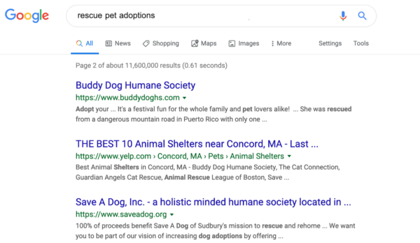 Nonprofit search marketing example