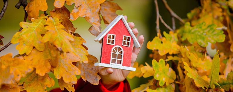 Blog header thanksgiving-real-estate