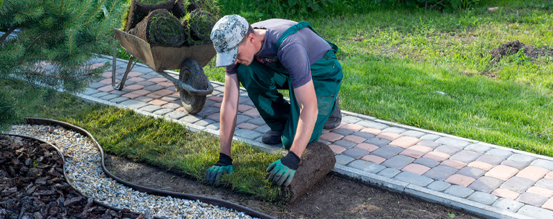Blog header How to Get Landscaping Customers