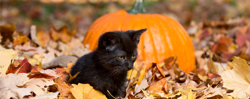 I&S Employee Newsletter - October 2023
