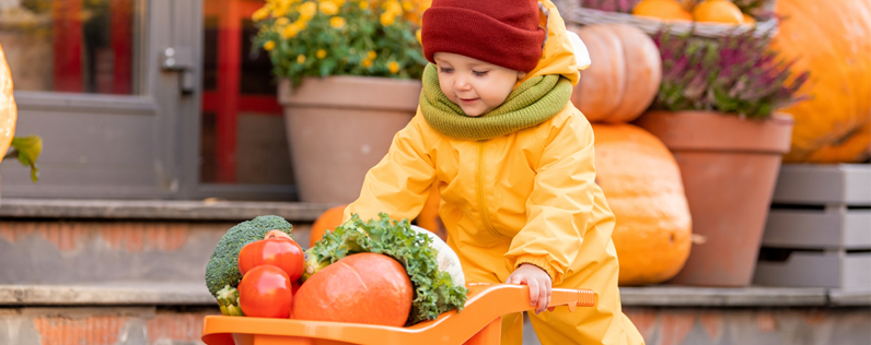 Thanksgiving Marketing Ideas | Constant Contact Thanksgiving Marketing Ideas | Constant Contact