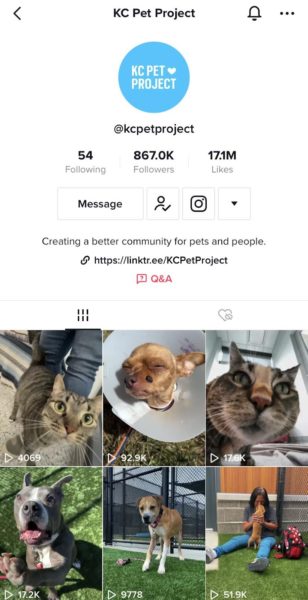 KC Pet Project TikTok post featuring cute images of adoptable pets