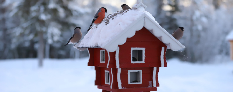 Christmas real estate Blog header