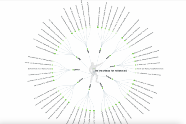 Answer the Public infographic of common questions