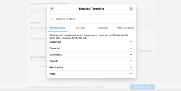 screenshot of Facebook Ads feature for detailed targeting