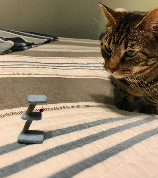 Example of scale