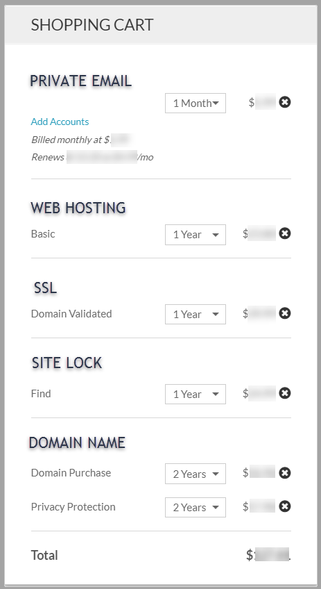 Domain charges including web hosting, SSL (Secure Socket Layer), email, and site lock.