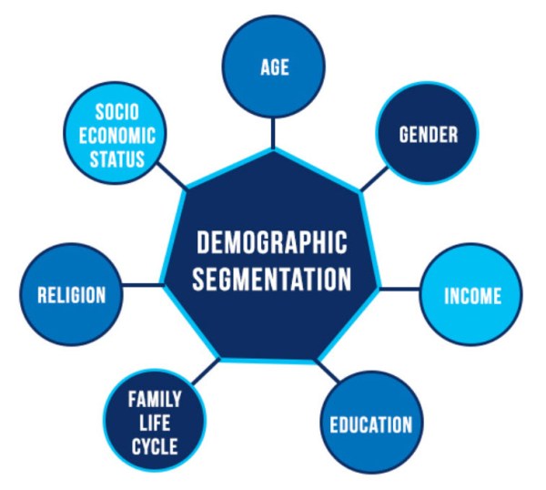 graphic on demographic segmentation