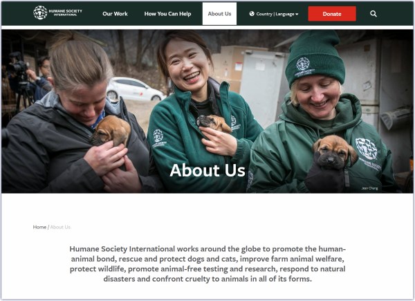 hsi.org 7 goals on about us page