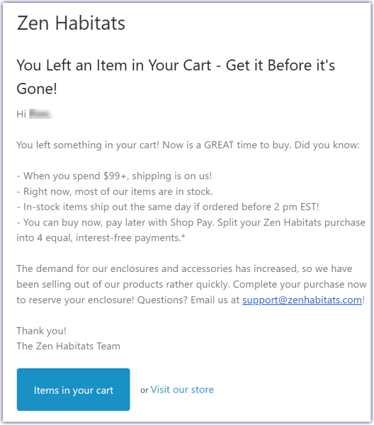 abandoned cart email example