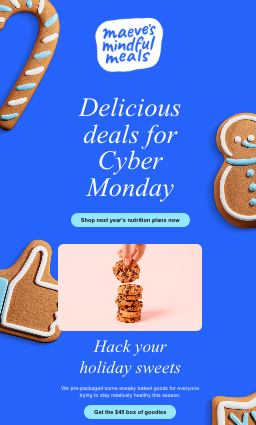 Cyber Monday deals email template example