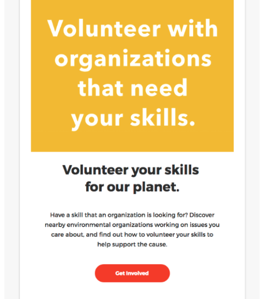 A Patagonia email sharing a call for volunteers with a bold yellow graphic.