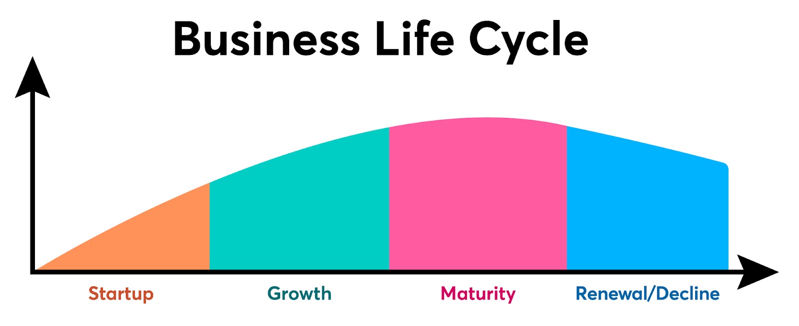 Constant Contact branded chart showing business lifecycle