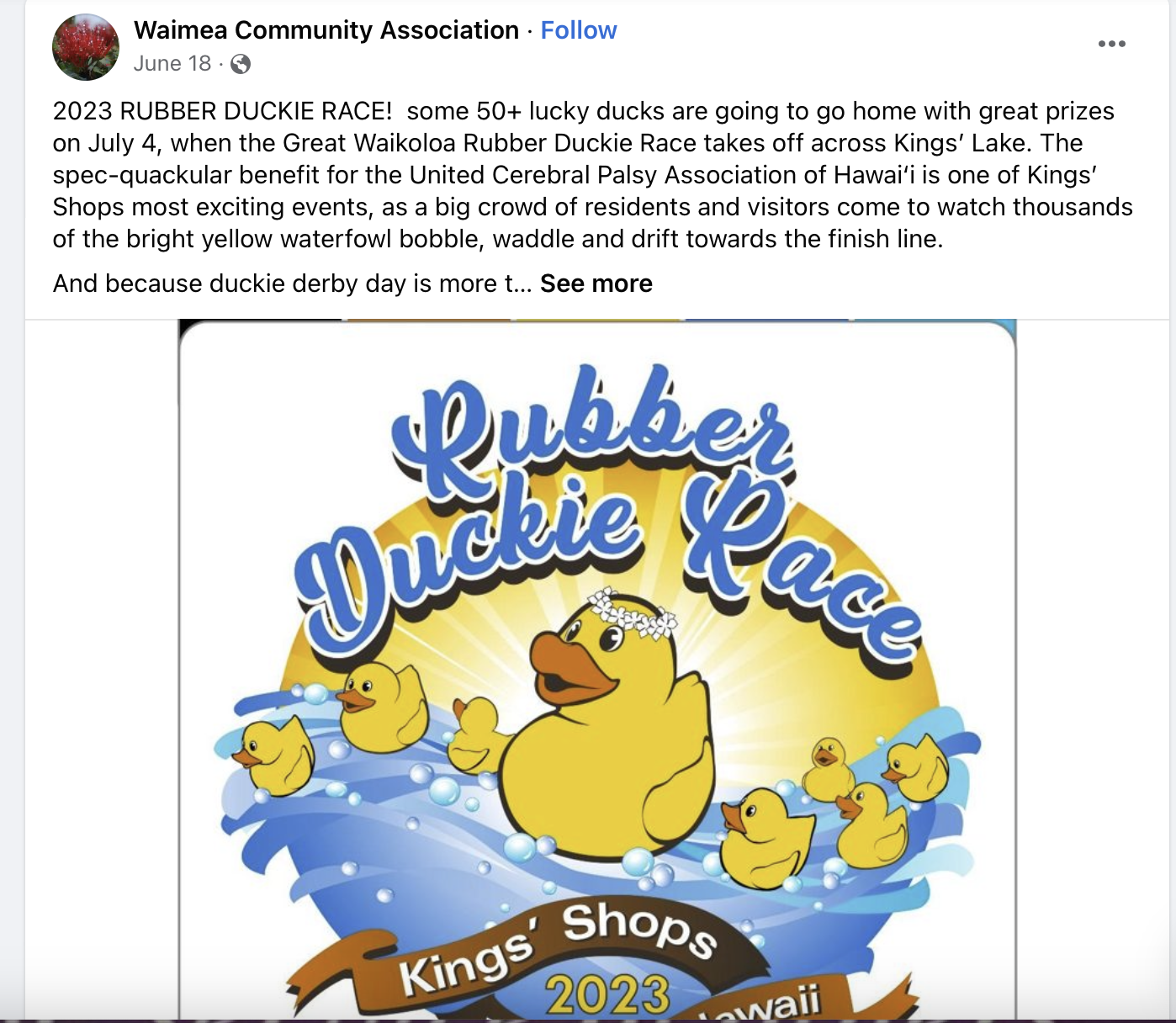 Rubber duckie race fundraiser for the Waimea Community Association