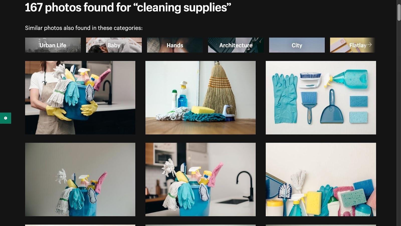 Shopify results for "cleaning supplies" 
