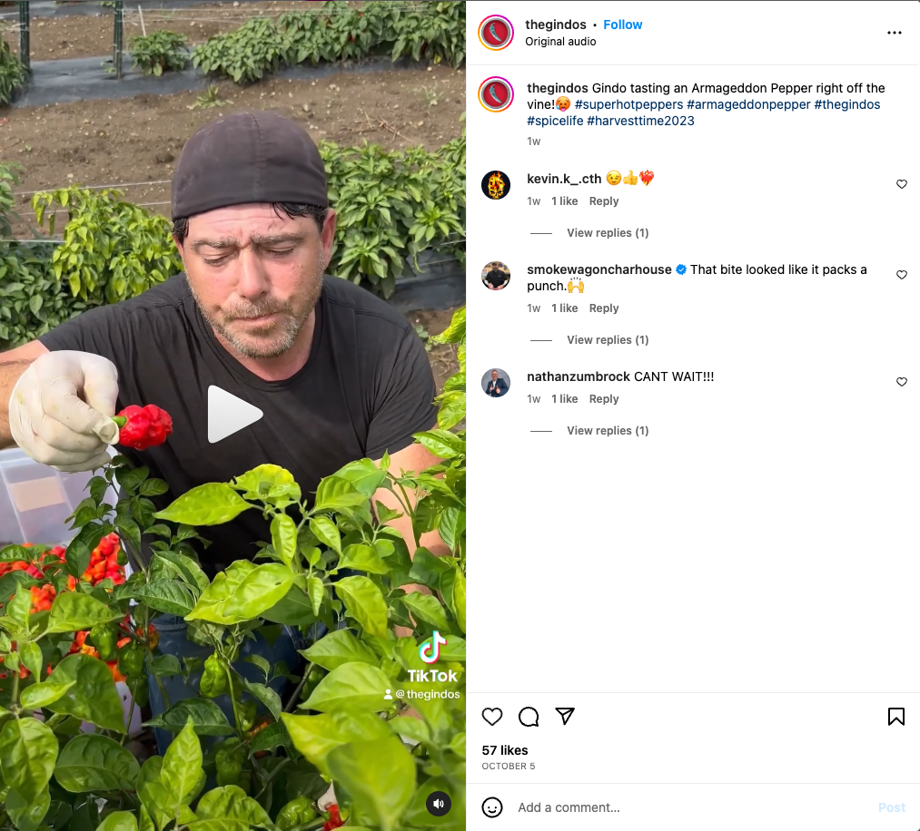 Gindo shares an Instagram Reel showing a taste test of an Armageddon pepper on Instagram.
