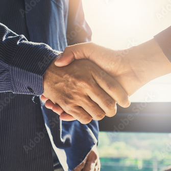 Business partner handshake