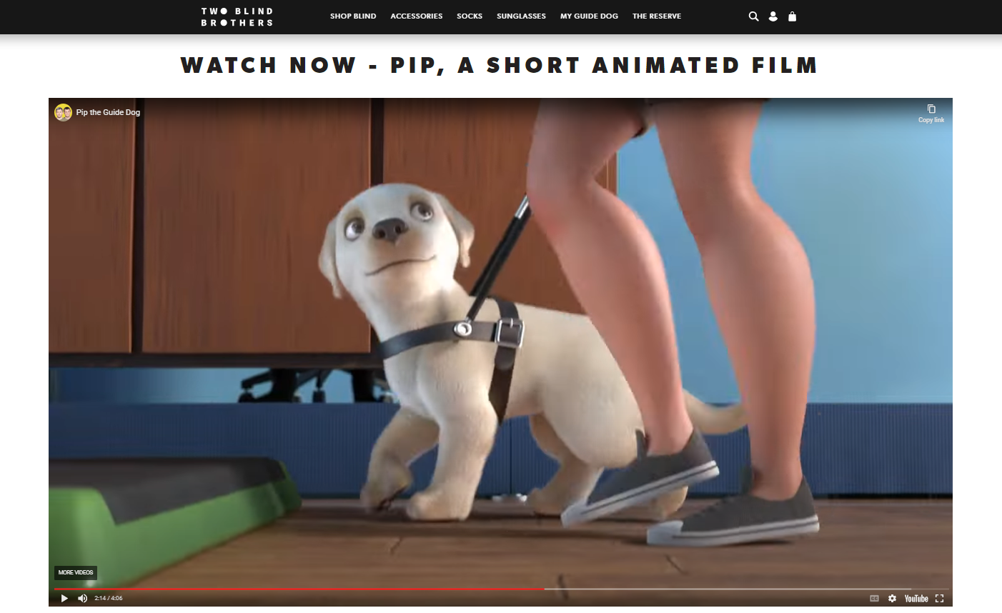 Two Blind Brothers film "Pip"