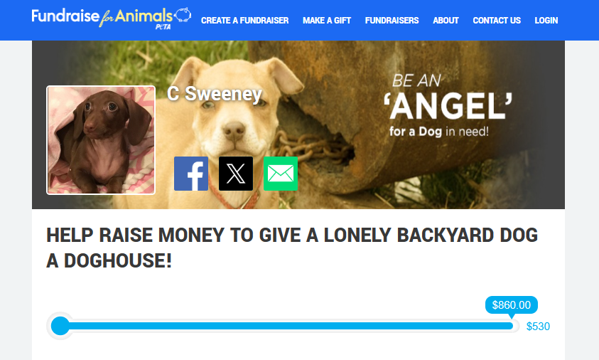 PETA fundraiser by an organization supporter. 