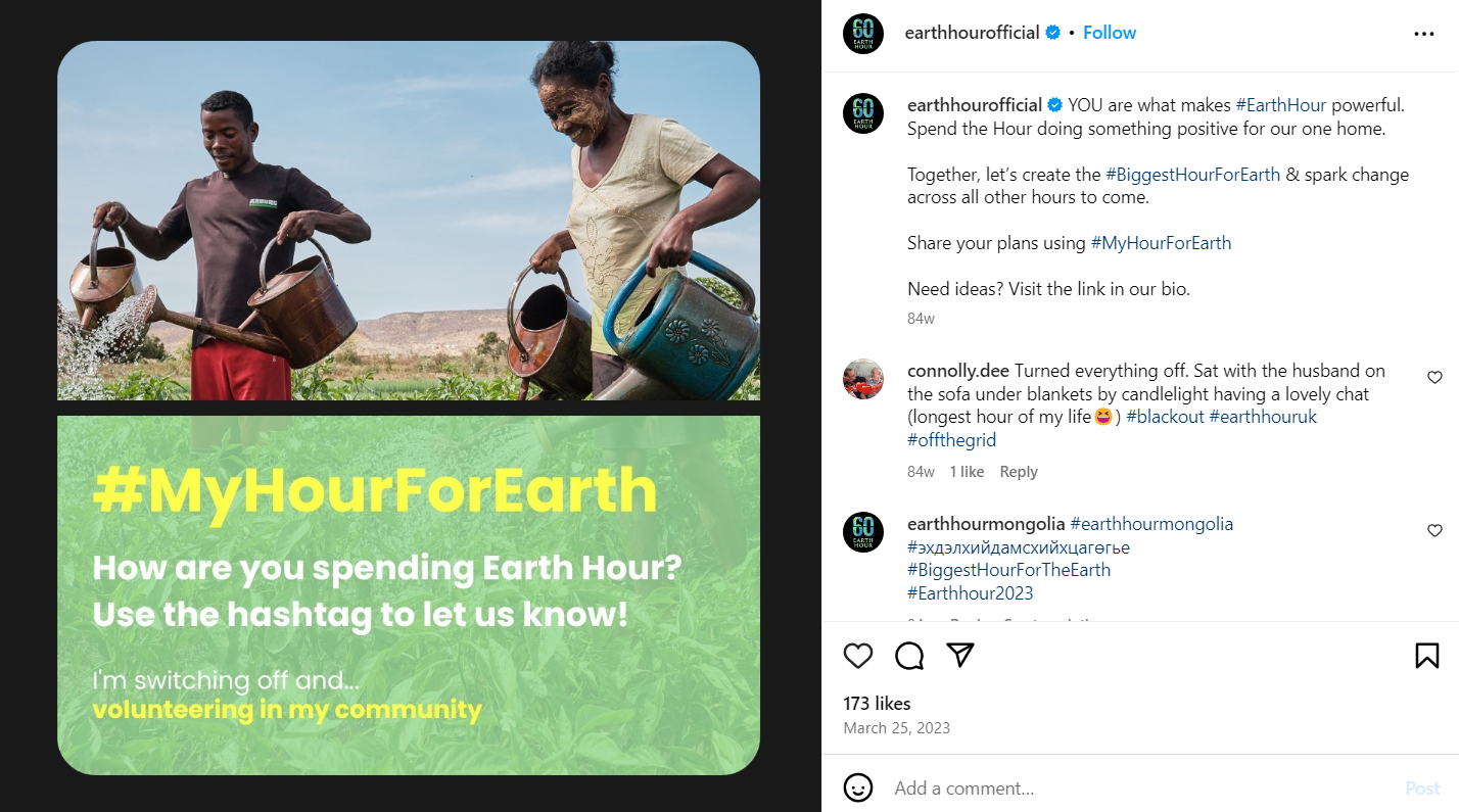 This social media campaign example from the World Wildlife Fund post about activism activities for Earth Hour Official